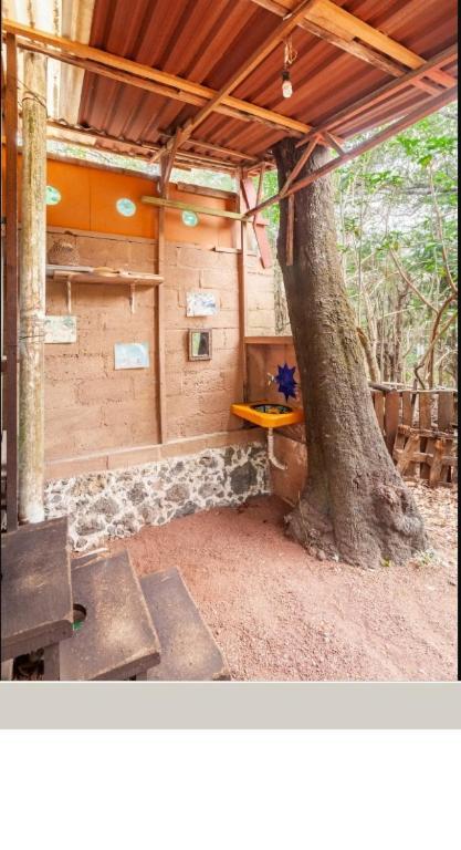 דירות טפוזטלן Casa Ecologica מראה חיצוני תמונה