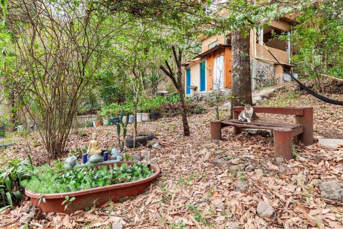 דירות טפוזטלן Casa Ecologica מראה חיצוני תמונה